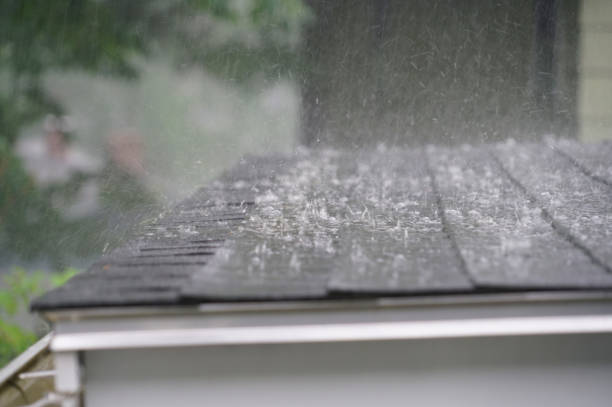 Best Commercial Roofing Services  in Shelton, NE