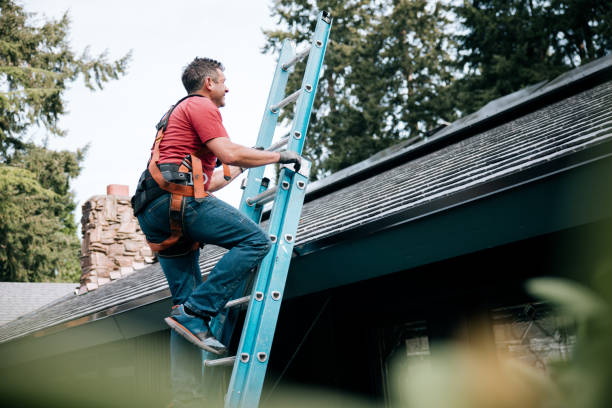 Best Roof Ventilation Installation  in Shelton, NE