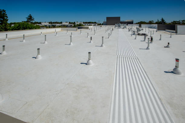 Best Solar Panel Roofing Installation  in Shelton, NE